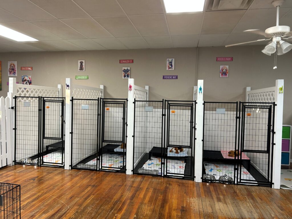 large kennels
