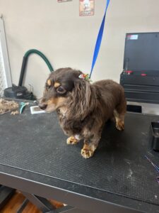 wk 3 23 26