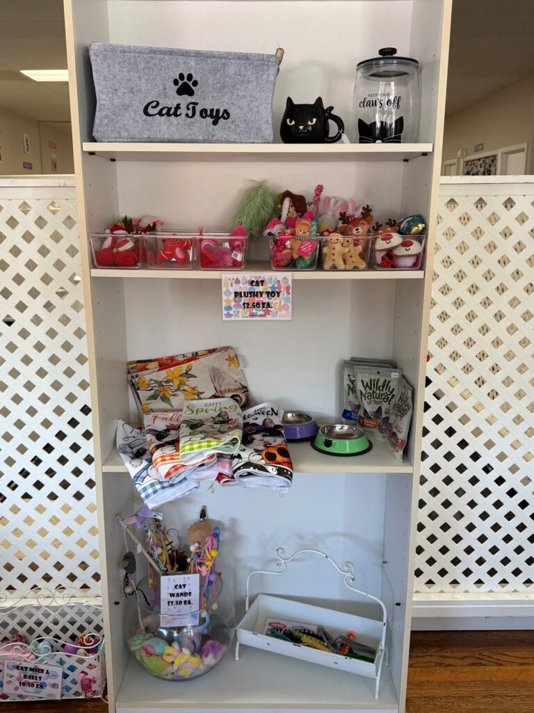 8 2026 9