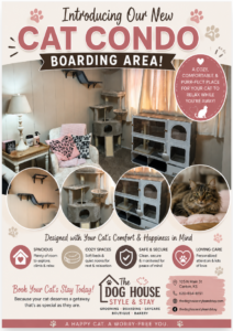 new cat condo area
